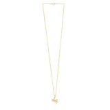 Crab Necklace in 10K Two Tone Yellow Gold