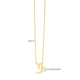 14K Yellow Gold Capricorn Necklace