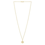Star of David Necklace in 14K Yellow Gold